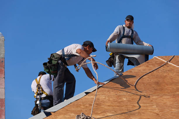 Best Roof Leak Repair  in Toluca, IL