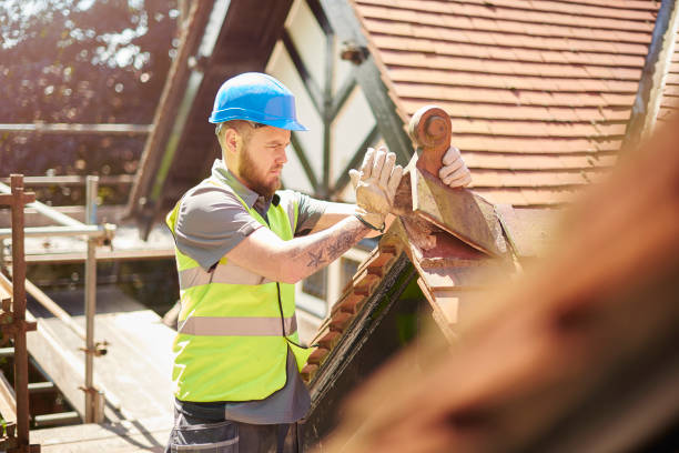 Best Flat Roof Repair Services  in Toluca, IL
